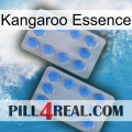 Kangaroo Essence 20